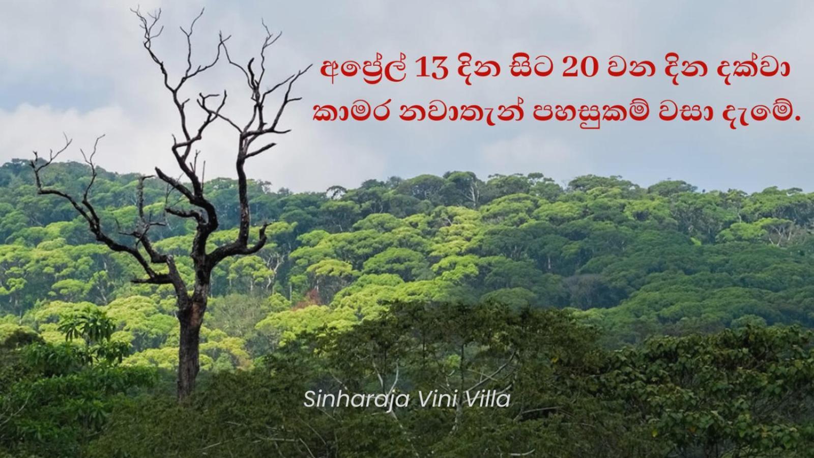 Sinharaja Vini Villa Денияйя Экстерьер фото